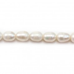 Perles de culture d'eau douce, blanche, olive, 9-10mm x 36cm