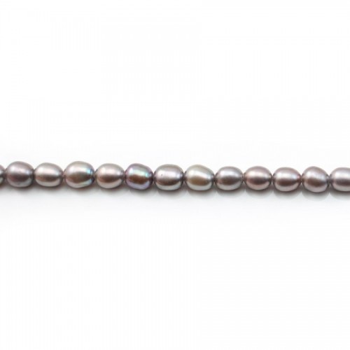Perle coltivate d'acqua dolce, grigio, oliva, 4,5-5 mm x 38 cm