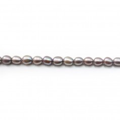 Gray freshwater cultured pearl, olive shape 4.5-5mm x 38cm