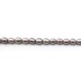 Perles d'eau Douce teinte ovale 4.5-5mm x 40cm