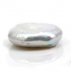 Perlas cultivadas de agua dulce, blancas, redondas y planas, 20mm x 1pc