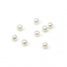 Perles de culture d'eau douce, blanche, ronde, 1.5-1.8mm x 10pcs