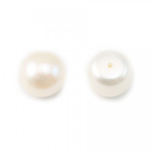 Perles de culture d'eau douce, semi-percée, blanche, bouton, 10-10.5mm x 2pcs