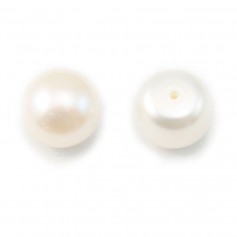 Perle de culture d'eau douce, semi-percée, blanche, bouton, 11-11.5mm x 1pc