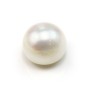 White half-drilled flattened round freshwater pearl 13-14mm x 1pc