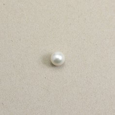Perla coltivata d'acqua dolce, bianca, rotonda, 12-12,5 mm x 1 pz