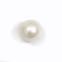 Perle de culture d'eau douce blanche ronde 13.5-14mm x 1pc