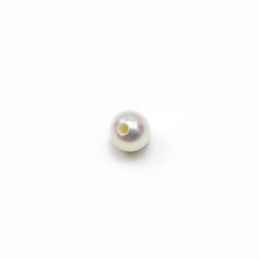 Perla coltivata d'acqua dolce, semi-perforata, bianca, rotonda, 4-4,5 mm x 2 pz