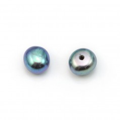 Perles de culture d'eau douce, semi-percée, bleue foncée, bouton, 5-5.5mm x 6pcs