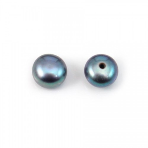 Perles de culture d'eau douce, semi-percée, bleue foncée, bouton, 6mm x 2pcs
