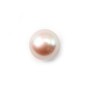 Pearl freshwater violet 10-11mm demi tron 1.0mm x 1pc