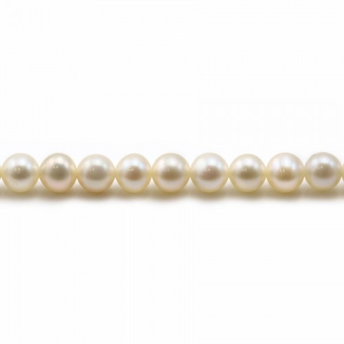Perles de culture d'eau douce, blanche, ronde, 5mm x 40cm