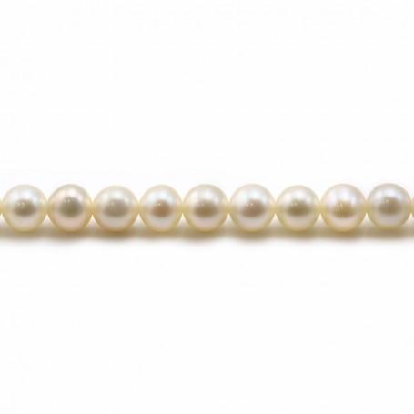 White round freshwater pearls on thread 5mm x 40cm
