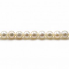 White round freshwater cultured pearls on thread 5mm x 40cm