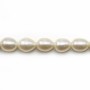 White oval freshwater pearls 7x9-8x10mm x 40cm