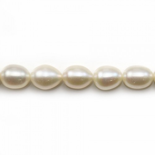 Perles d'eau douce blanches oval 7x9-8x10mm x 40cm