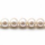 Perlas cultivadas de agua dulce, blancas, semirredondas, 10-14mm x 40cm