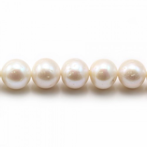 Perle coltivate d'acqua dolce, bianche, semitonde, 10-14 mm x 40 cm