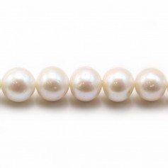 Perles de culture d'eau douce, blanche, semi-ronde, 10-14mm x 40cm