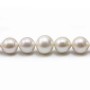 Perle d'eau douce blanche, de forme ronde, et de taille 13-16mm x 40cm