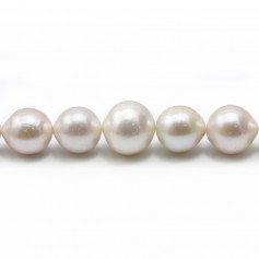 Perles de culture d'eau douce, blanche, ronde, 13-16mm x 40cm