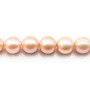 saumon round freshwater pearl 12-14mm AAA x 40cm