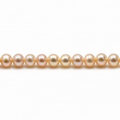 Freshwater cultured pearl, in salmon color, in round shape, 4.5-5mm x 40cm