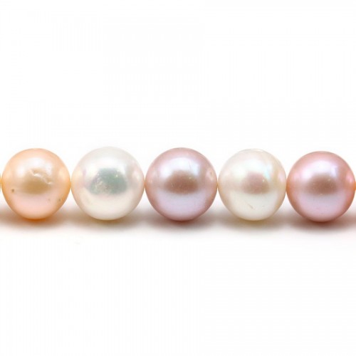 Freshwater pearl, multicolored, in round shape, in size of 12-14mm x 40cm