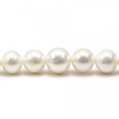 Perlas cultivadas de agua dulce, blancas, redondas, 13-15mm x 40cm