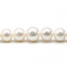 Perles de culture d'eau douce, blanche, ronde, 13-15mm x 40cm