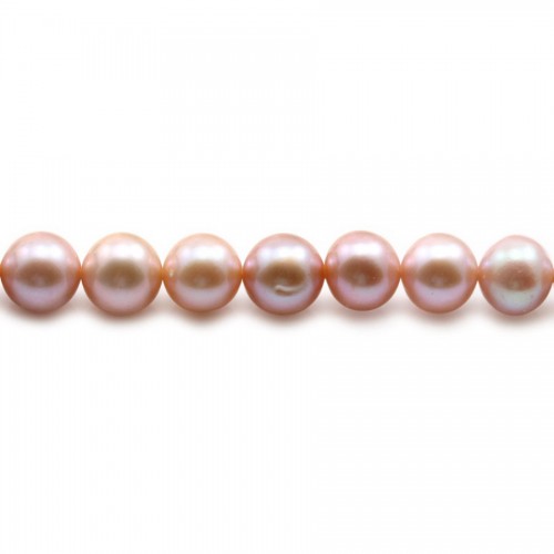 Perles de culture d'eau douce, mauve, ronde, 8-8.5mm x40cm