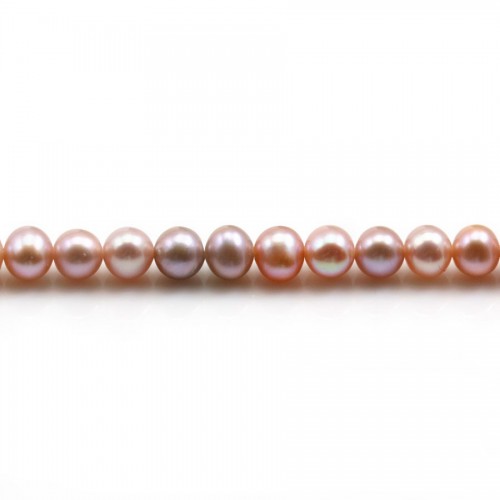 Perlas cultivadas de agua dulce, malva, semirredondas, 5-5,5mm x 40cm