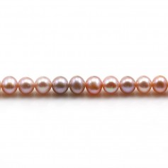 Perles de culture d'eau douce, mauve, semi-ronde, 5-5.5mm x 40cm