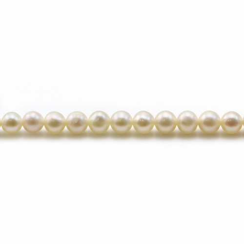 Perlas cultivadas de agua dulce, blancas, redondas, 4mm x40cm