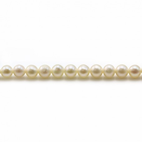 Perles d'eau douce blanches ronde 4mm x40cm