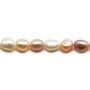 Perles d'eau douce multicolore 8-9mm x35cm