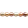 Perles de culture d'eau douce, multicolore, baroque, 7-9mm x36cm