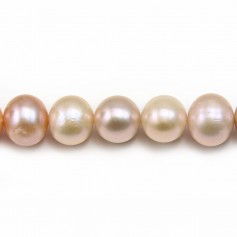 Perlas cultivadas de agua dulce, multicolor, redondas, 9,5-10,5mm x 40cm A