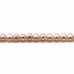 Perle coltivate d'acqua dolce, malva, semitonde, 4 mm x 40 cm