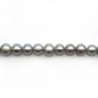 Perle coltivate d'acqua dolce, grigie, semitonde, 7-9 mm x 39 cm