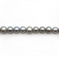 Perles de culture d'eau douce, gris, semi-ronde, 7-9mm x 39cm