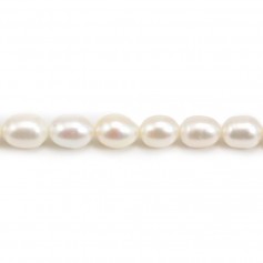 White Freshwater cultured Pearl, olive shape 9-10mm x 38cm