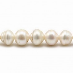 Perlas de agua dulce, blancas, barrocas con aro, 11-13mm x 40cm