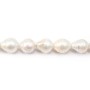 Perles de culture d'eau douce, blanche, baroque, 14.5-16mm x 40cm