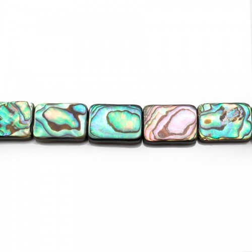Abalone shell RECTANGLE 13*18mmX 40cm 