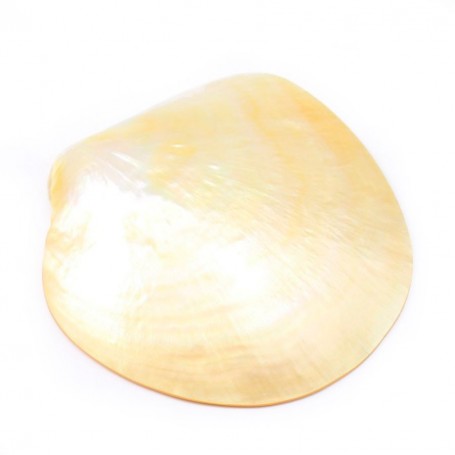 Yellow Mother-of-pearl 