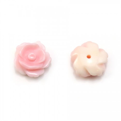 Lambi flor rosa, semi-perforado 10mm x 1pc