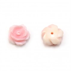 Lambi rose fleur, semi percé 10mm x 1pc