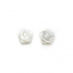 White mother-of-pearl half drilled Rose 6mm x 2pcs