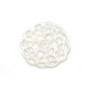 Mother-of-pearl in white color, in the shape of a flower, in size of 14mm x 1pc